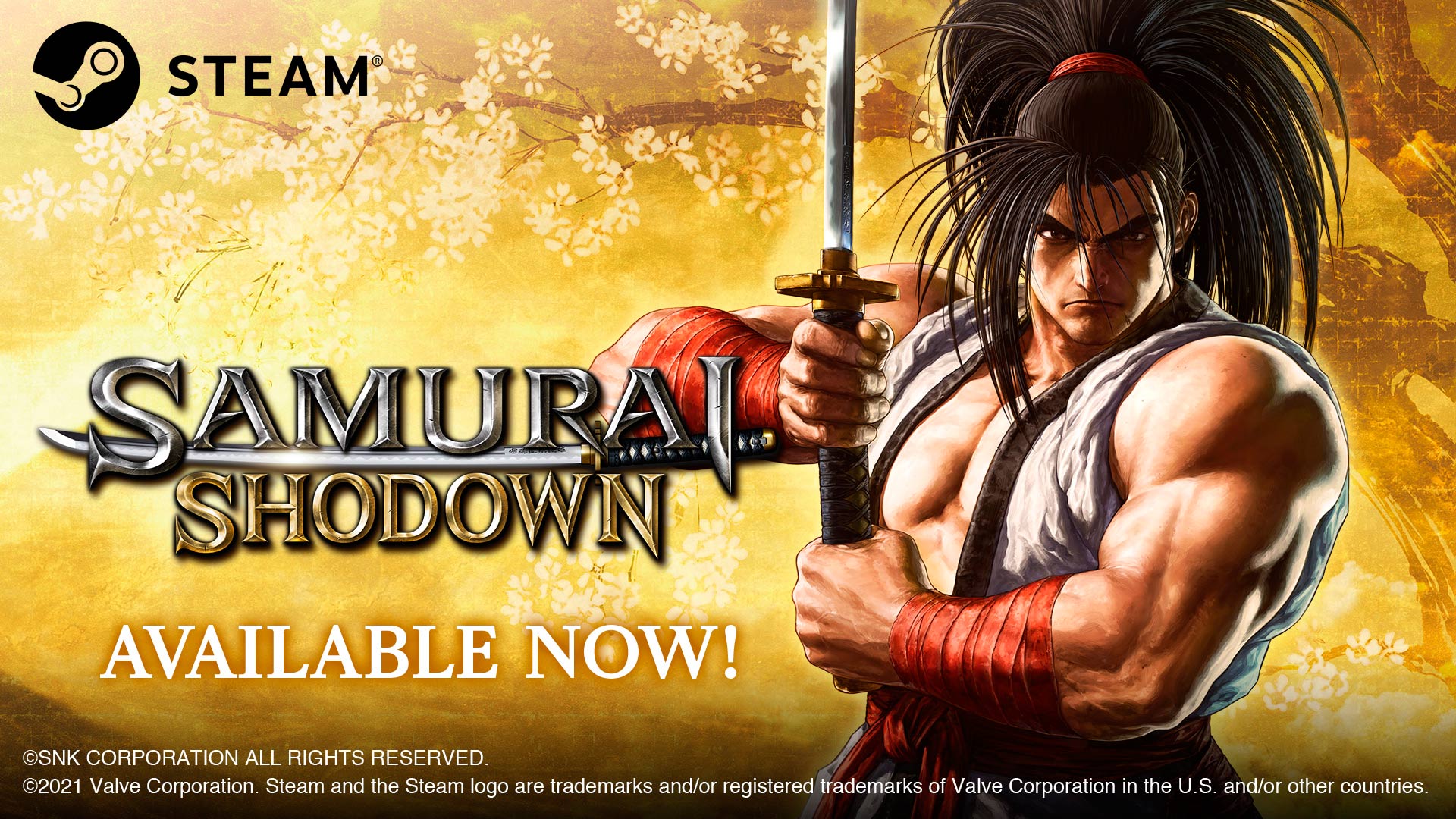 Samurai Showdown