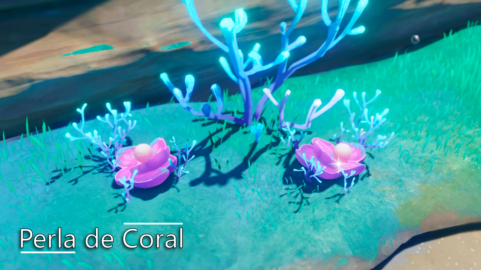 genshin impact perla de coral